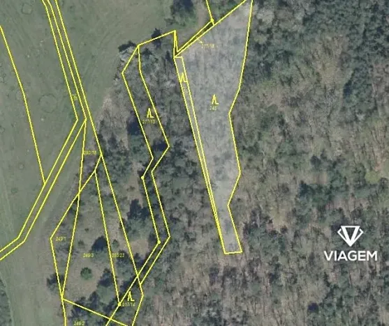 Prodej podílu lesa, Švihov, 220 m2