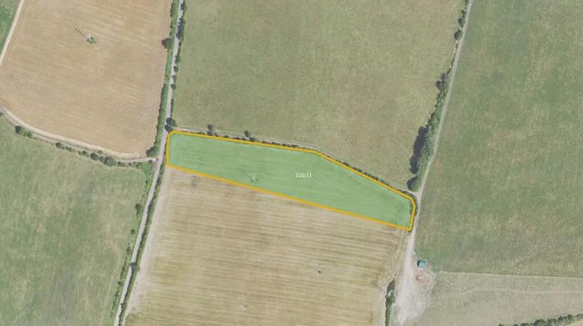 Prodej pole, Milý, 11497 m2