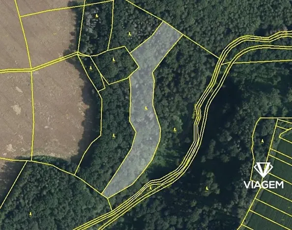 Prodej podílu lesa, České Lhotice, 7146 m2