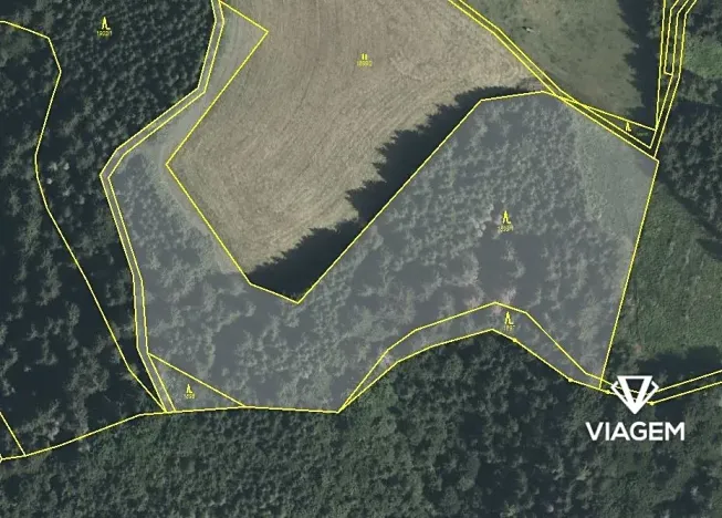 Prodej podílu lesa, Cotkytle, 2355 m2