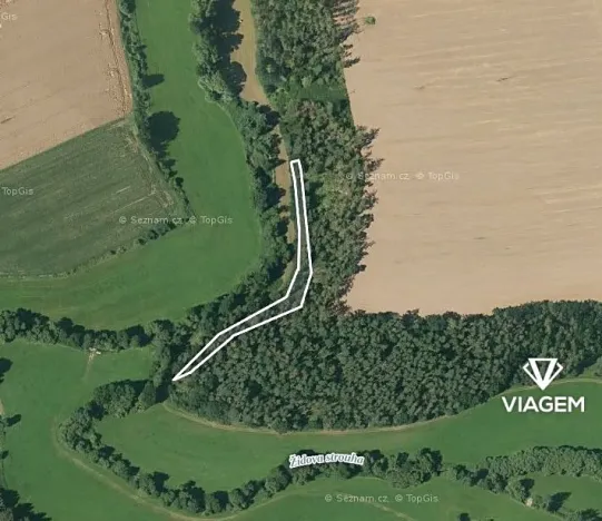 Prodej podílu lesa, Čenkov u Bechyně, 721 m2