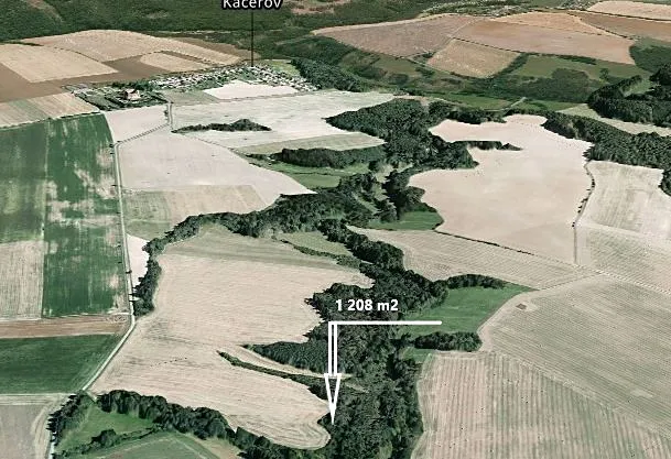 Prodej lesa, Kaceřov, 1208 m2
