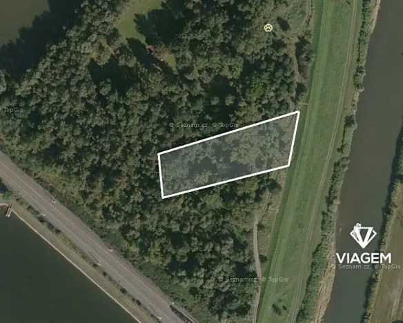 Prodej podílu lesa, Dětmarovice, 1487 m2