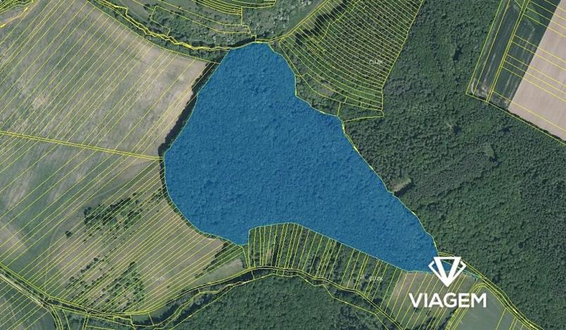 Prodej podílu lesa, Pašovice, 27921 m2