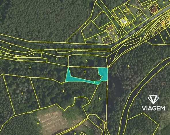 Prodej lesa, Letovice, 1447 m2