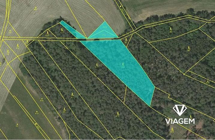 Prodej podílu lesa, Zahorčice, 326 m2