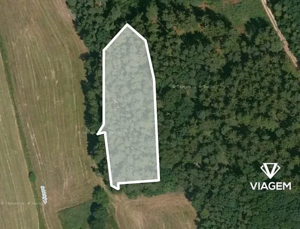 Prodej podílu lesa, Koloveč, 707 m2