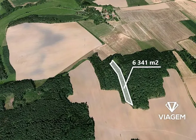 Prodej podílu lesa, Koloveč, 2021 m2