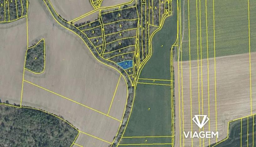 Prodej podílu lesa, Koloveč, 2021 m2