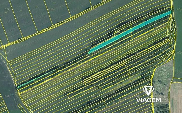 Prodej podílu lesa, Vlčnov, 1782 m2