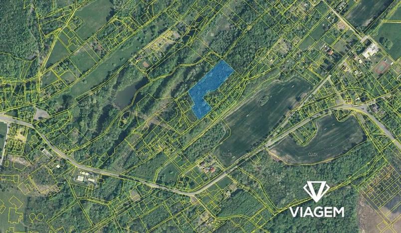 Prodej podílu lesa, Doubrava, 8873 m2