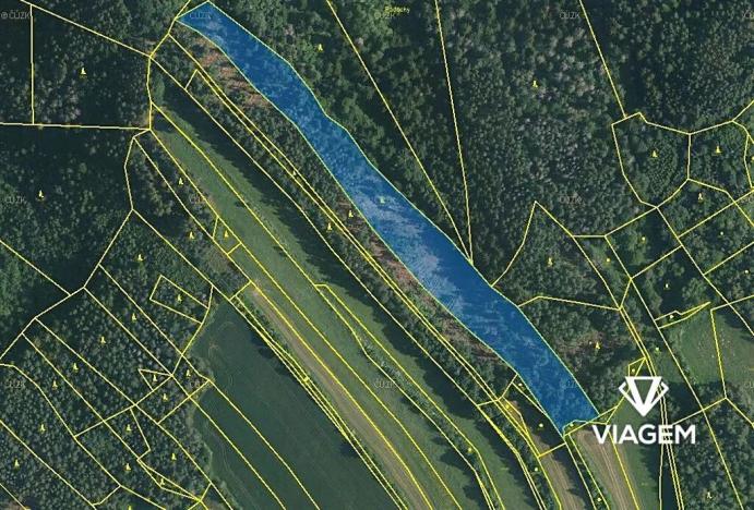 Prodej podílu lesa, Kuřimská Nová Ves, 6242 m2