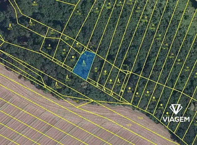 Prodej lesa, Čučice, 470 m2