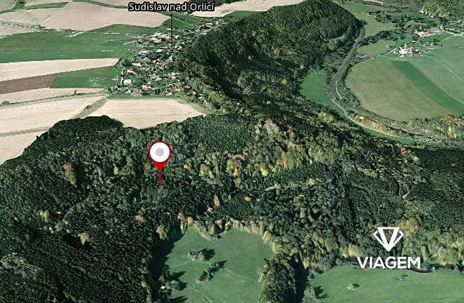 Prodej podílu lesa, Sudislav nad Orlicí, 21329 m2