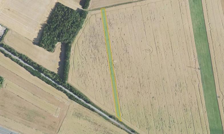 Prodej pole, Dolany, 41267 m2