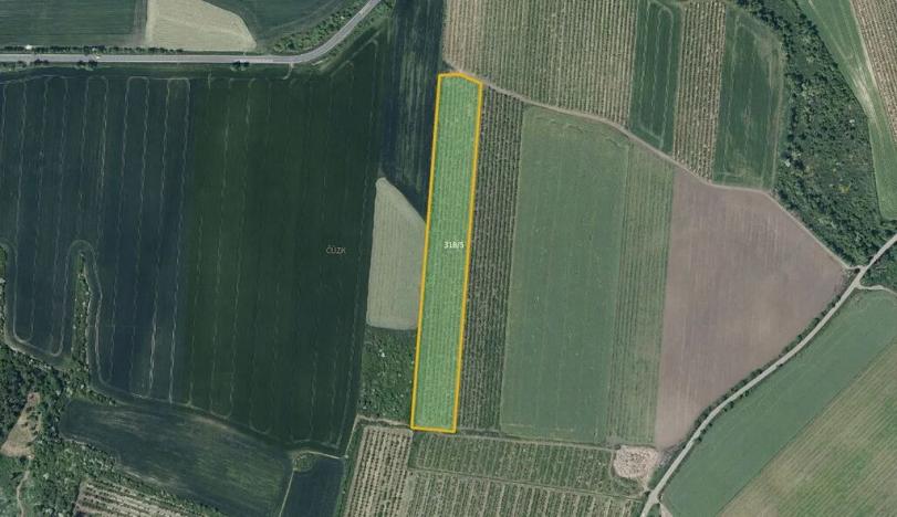 Prodej sadu/vinice, Želkovice, 28919 m2