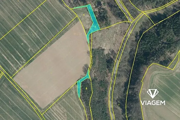 Prodej podílu lesa, Doksy, 4410 m2