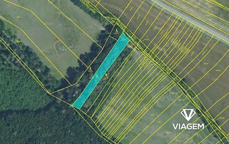 Prodej podílu lesa, Nemochovice, 624 m2