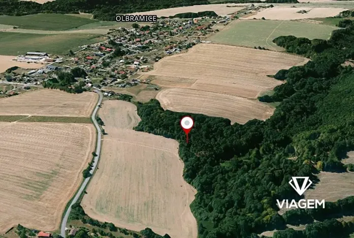 Prodej lesa, Olbramice, 2180 m2