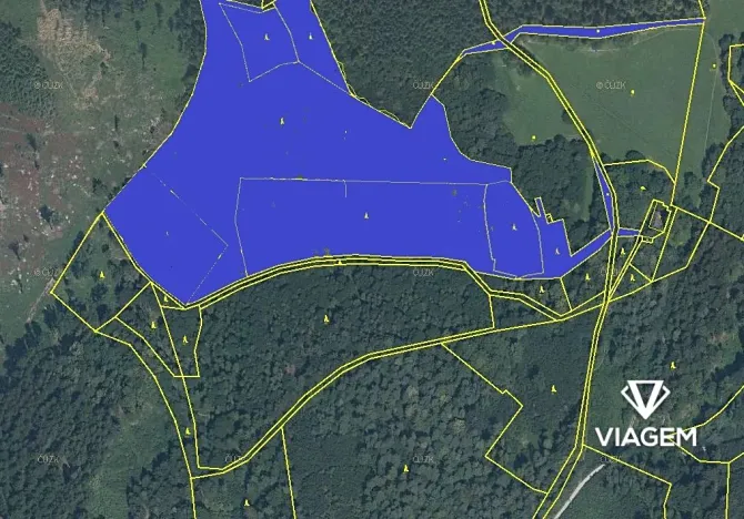 Prodej podílu lesa, Trojanovice, 18123 m2