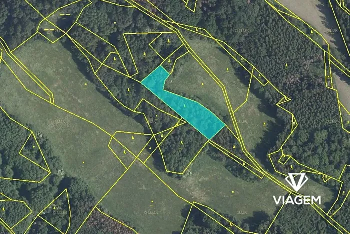 Prodej podílu lesa, Horní Habartice, 2694 m2