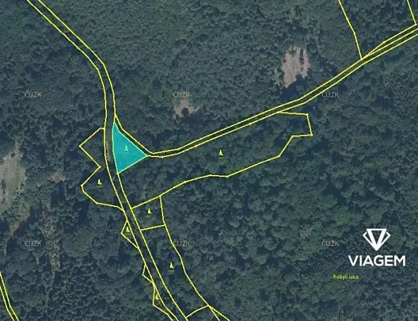 Prodej podílu lesa, Hrabyně, 20047 m2