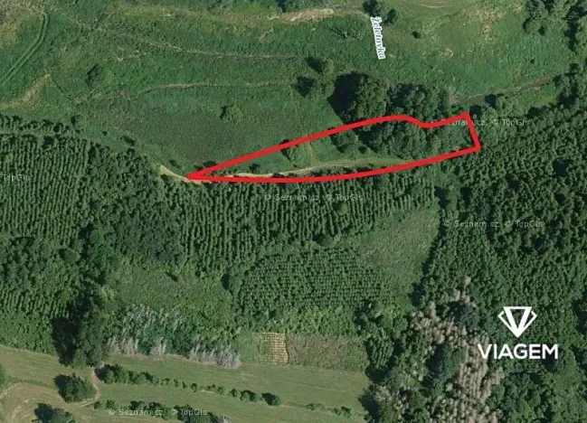 Prodej podílu lesa, Budeč, 2254 m2