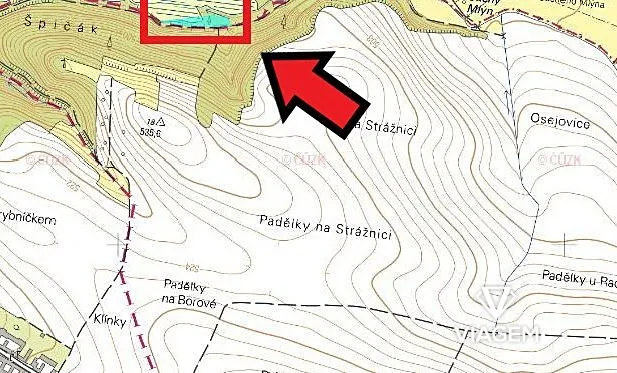 Prodej podílu lesa, Budeč, 2254 m2