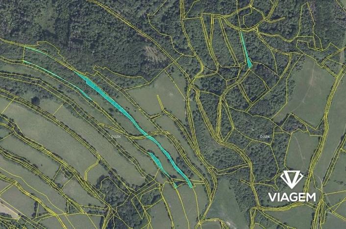 Prodej podílu lesa, Zubrnice, 2835 m2