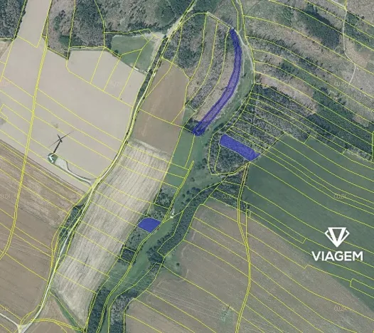 Prodej podílu lesa, Věžnice, 453 m2