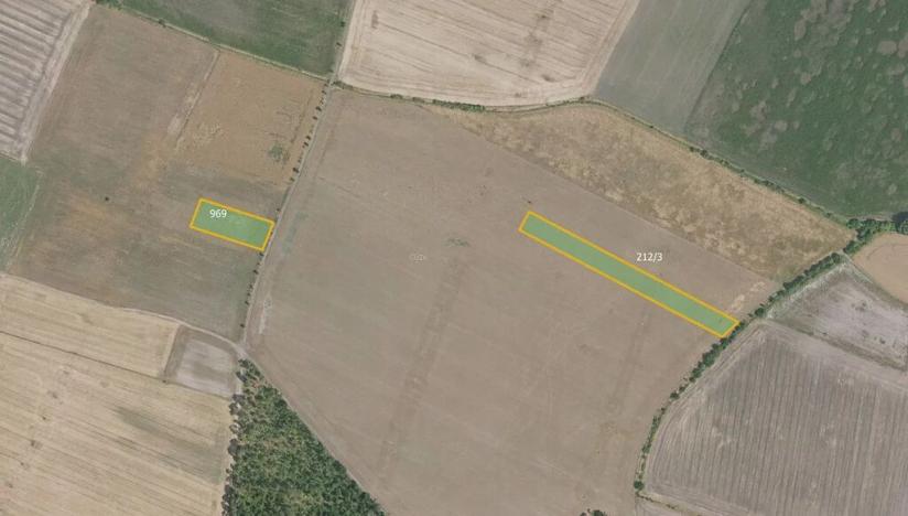 Prodej podílu pole, Hlavenec, 21948 m2