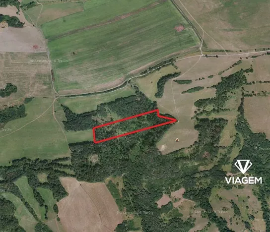 Prodej podílu lesa, Velká Bukovina, 2383 m2