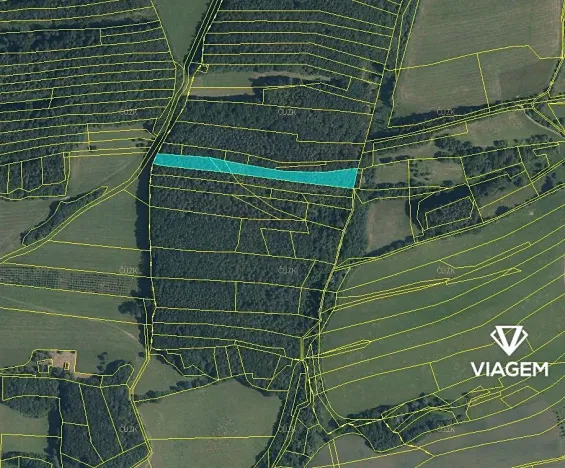Prodej podílu lesa, Březůvky, 3839 m2