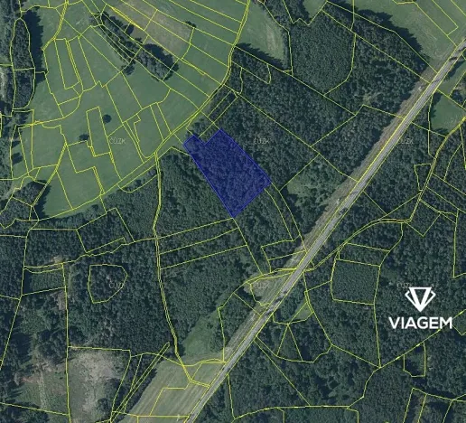 Prodej podílu lesa, Vítanov, 2834 m2