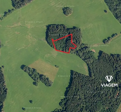 Prodej podílu lesa, Vítanov, 1399 m2