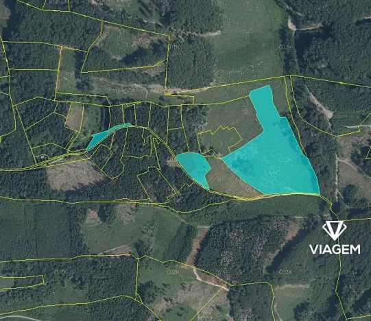 Prodej podílu lesa, Růžďka, 26737 m2