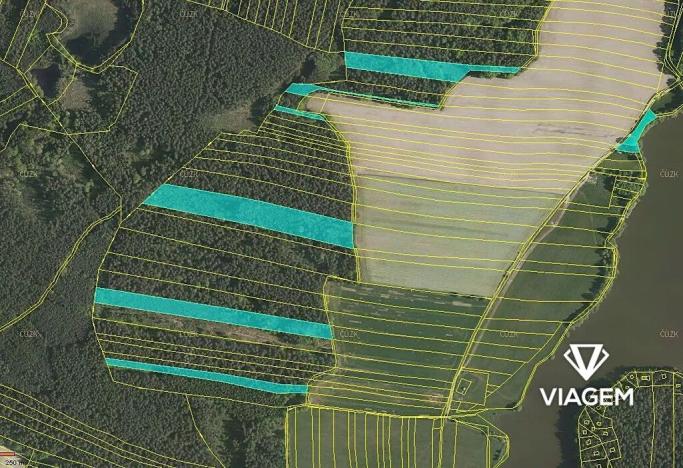 Prodej podílu lesa, Olešnice, 3009 m2