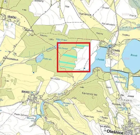 Prodej podílu lesa, Olešnice, 3009 m2