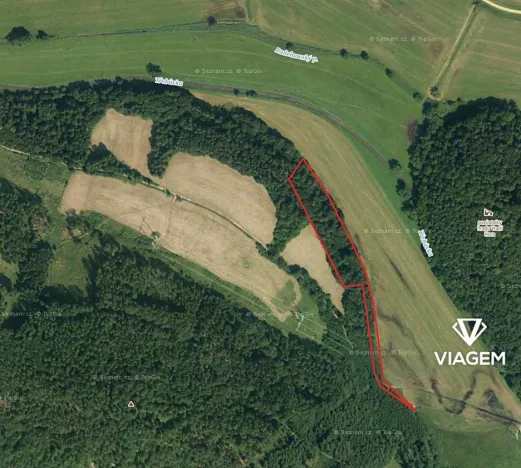 Prodej podílu lesa, Vranová Lhota, 4729 m2