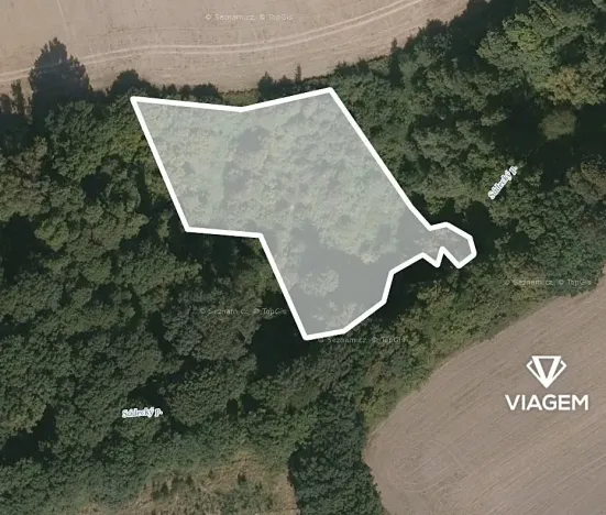 Prodej podílu lesa, Hlinka, 3418 m2