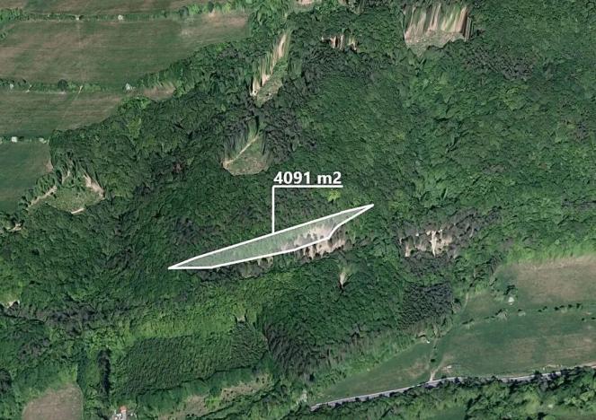 Prodej podílu lesa, Bratřejov, 3636 m2