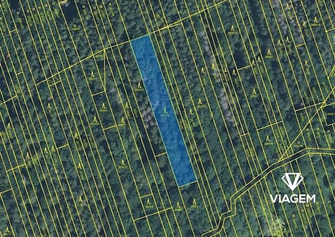 Prodej podílu lesa, Kněždub, 3060 m2