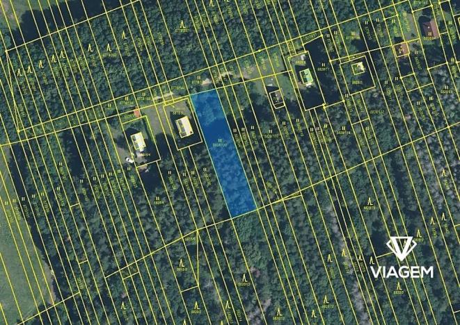 Prodej podílu lesa, Kněždub, 3060 m2