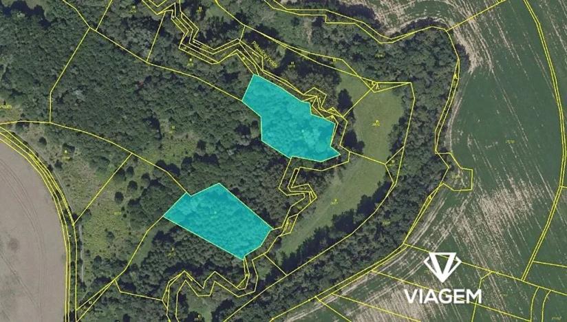 Prodej lesa, Praha, 5555 m2