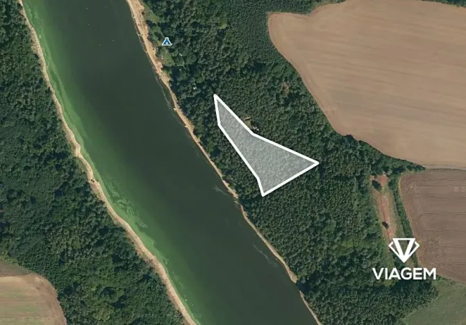 Prodej lesa, Slabčice, 6018 m2