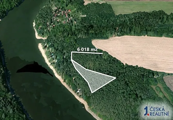 Prodej lesa, Slabčice, 6018 m2