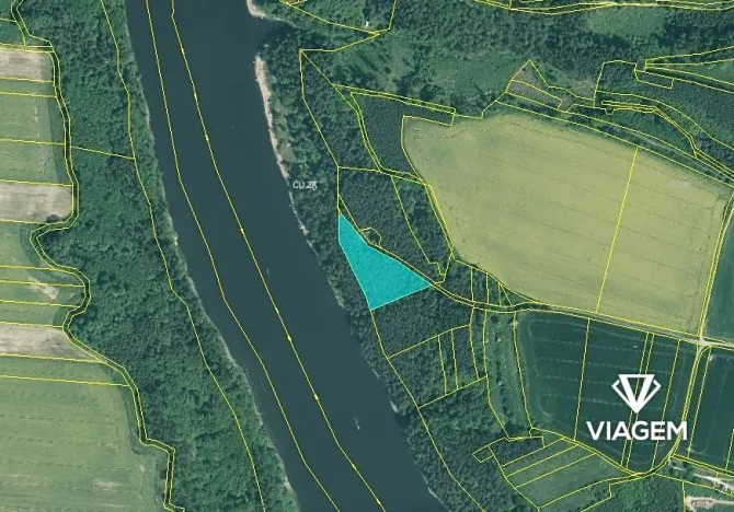 Prodej lesa, Slabčice, 6018 m2