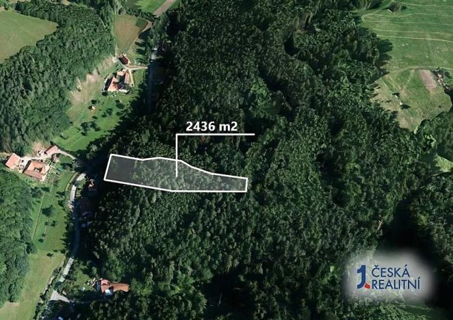 Prodej lesa, Letovice, 2436 m2
