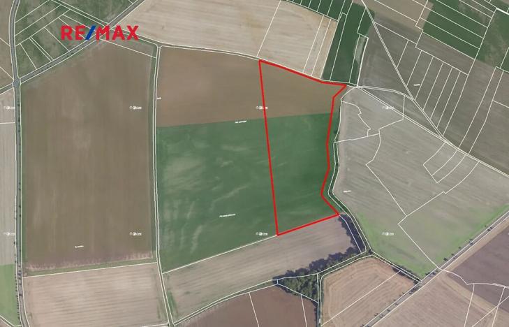 Prodej podílu pole, Bobnice, 154847 m2