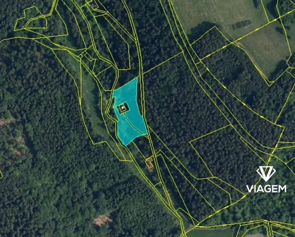 Prodej lesa, Všelibice, 4954 m2